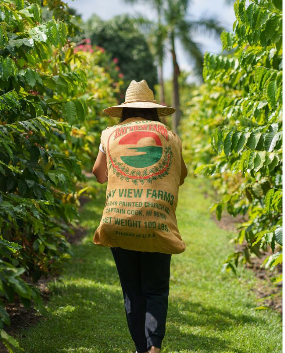 lady holding bag with bay view farm coffee